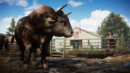 Far Cry 5[Б.У ИГРЫ PLAY STATION 4]